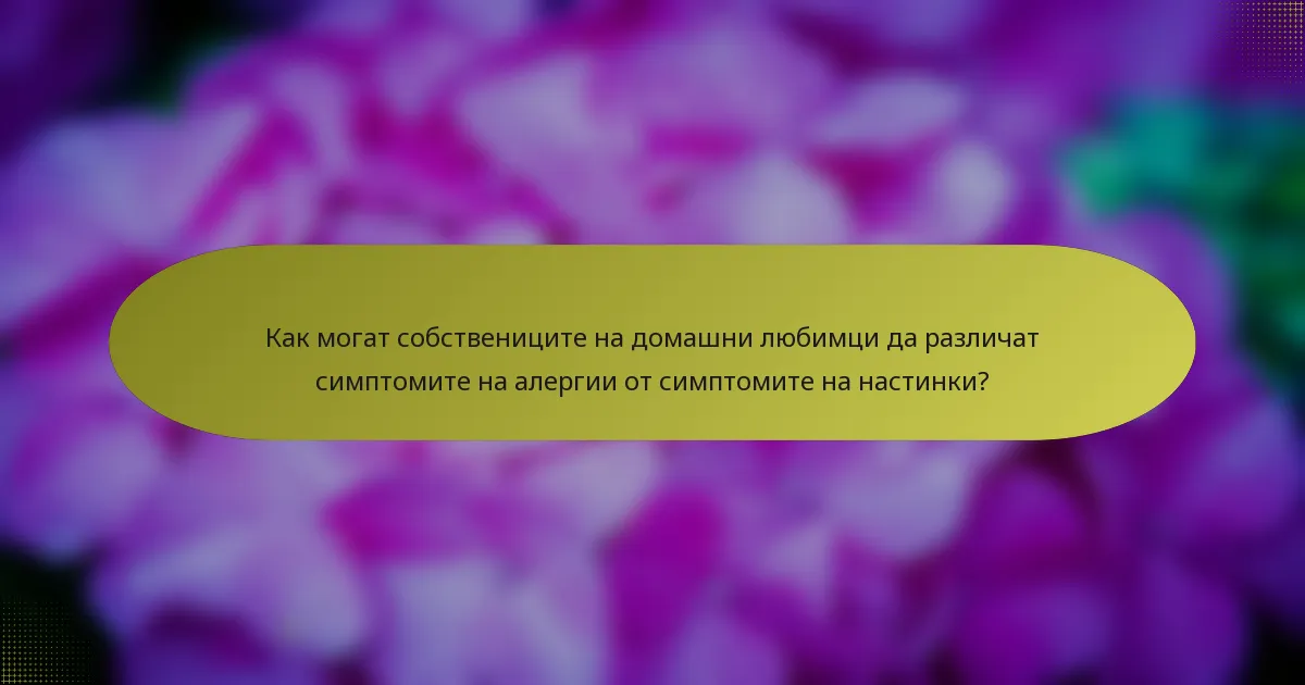 Как могат собствениците на домашни любимци да различат симптомите на алергии от симптомите на настинки?