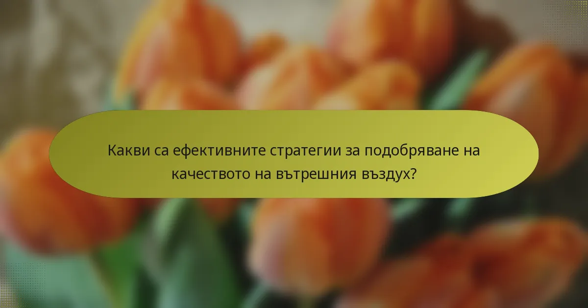 Какви са ефективните стратегии за подобряване на качеството на вътрешния въздух?