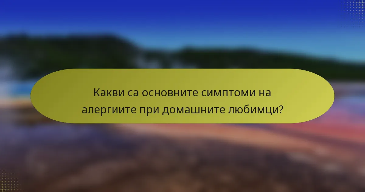 Какви са основните симптоми на алергиите при домашните любимци?