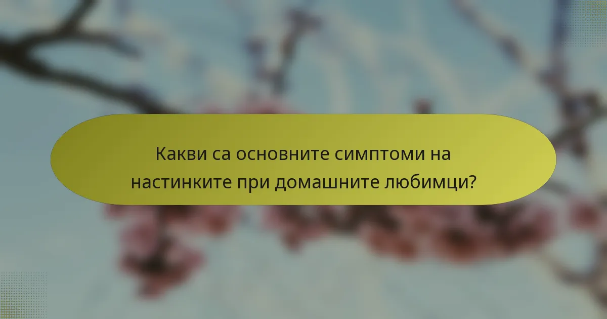 Какви са основните симптоми на настинките при домашните любимци?
