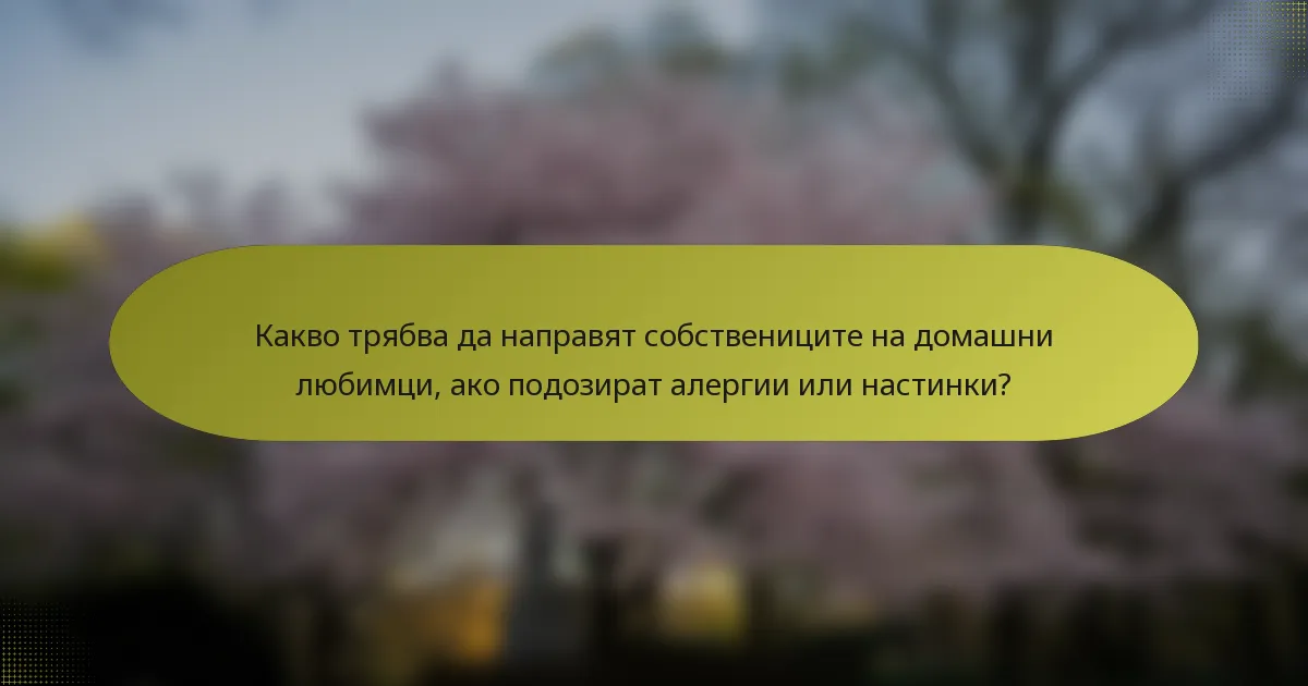 Какво трябва да направят собствениците на домашни любимци, ако подозират алергии или настинки?